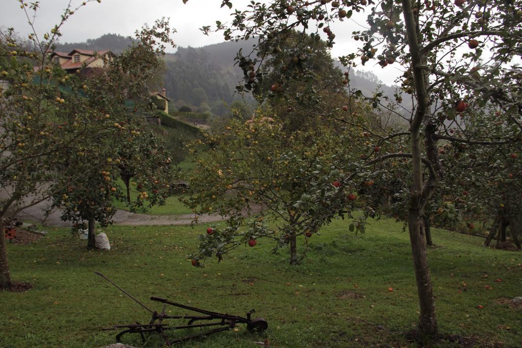 Trisqueles Y Buganvillas Villaviciosa  Exterior photo